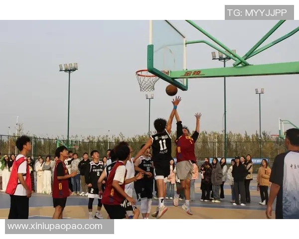 明星打篮球的好处探讨提升形象增强团队合作与身体素质的多重优势